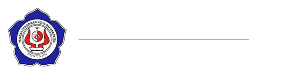 Sekolah Dasar Vidatra